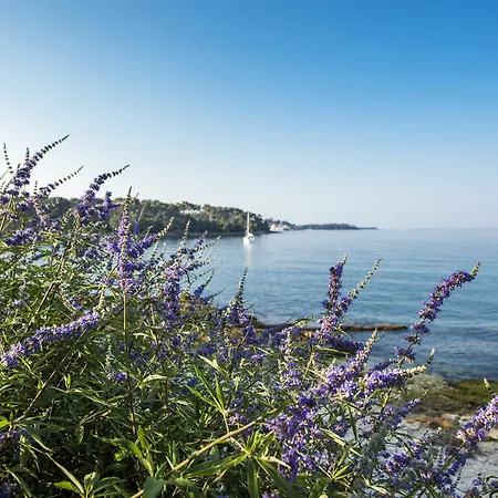 Borik * Rovinj