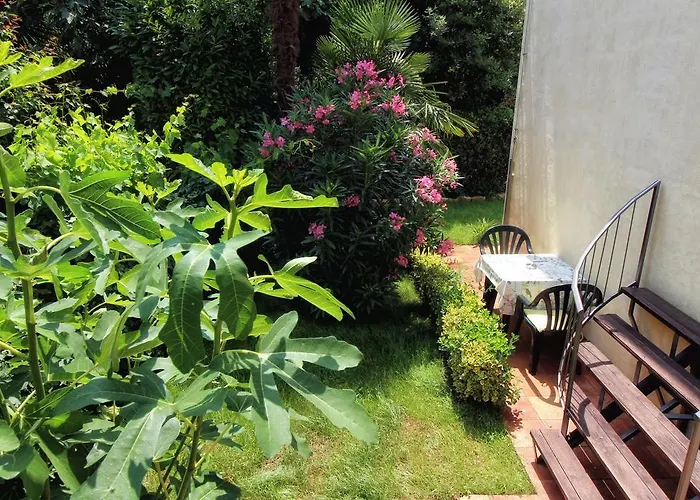 Apartamento Borik *