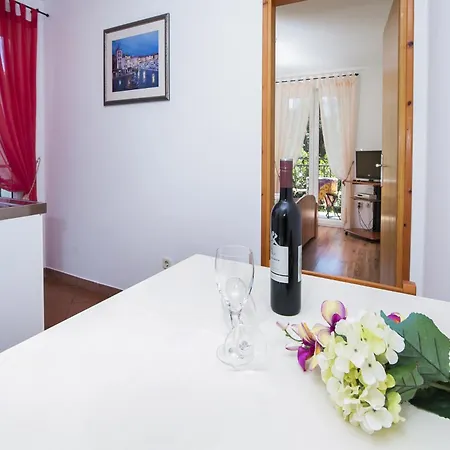 伯里克别墅公寓 公寓 罗维尼