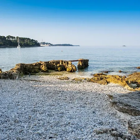 伯里克别墅公寓 *