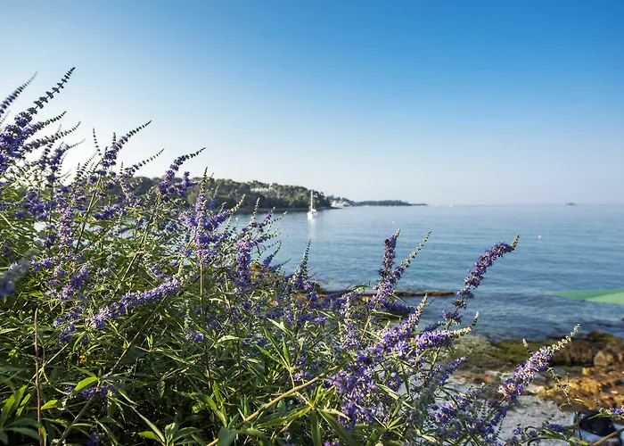 Borik * Rovinj